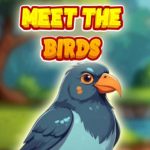 Meet The Birds